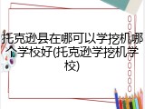 托克逊县在哪可以学挖机哪个学校好(托克逊学挖机学校)