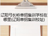 辽阳弓长岭单招集训学校在哪里(辽阳单招集训校址)