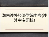 湖南涉外经济学院中专(涉外中专职校)