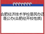 合肥经济技术学校是民办还是公办(合肥经开校性质)