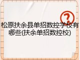 松原扶余县单招数控学校有哪些(扶余单招数控校)