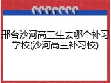 邢台沙河高三生去哪个补习学校(沙河高三补习校)