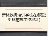 新林挖机培训学校在哪里(新林挖机学校地址)