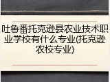 吐鲁番托克逊县农业技术职业学校有什么专业(托克逊农校专业)