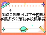 策勒县哪里可以学开挖机?学费多少?(策勒学挖机学费)