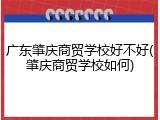 广东肇庆商贸学校好不好(肇庆商贸学校如何)