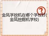 金凤学挖机在哪个学校好(金凤挖掘机学校)