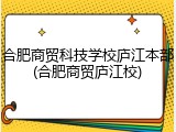 合肥商贸科技学校庐江本部(合肥商贸庐江校)