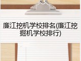 廉江挖机学校排名(廉江挖掘机学校排行)