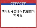 四川科技职业学院高莉(川科高莉)