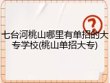 七台河桃山哪里有单招的大专学校(桃山单招大专)