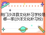 荆门沙洋县文化补习学校是哪一家(沙洋文化补习校)