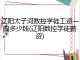 辽阳太子河数控学徒工资一般多少钱(辽阳数控学徒薪资)