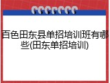 百色田东县单招培训班有哪些(田东单招培训)