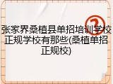 张家界桑植县单招培训学校正规学校有那些(桑植单招正规校)