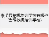 崇明县挖机培训学校有哪些(崇明挖机培训学校)