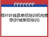 喀什叶城县单招培训机构推荐(叶城单招培训)