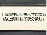 上海科技职业技术学院录取线(上海科技职院分数线)