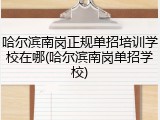 哈尔滨南岗正规单招培训学校在哪(哈尔滨南岗单招学校)