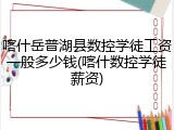 喀什岳普湖县数控学徒工资一般多少钱(喀什数控学徒薪资)