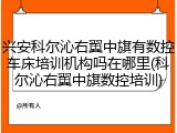 兴安科尔沁右翼中旗有数控车床培训机构吗在哪里(科尔沁右翼中旗数控培训)