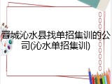 晋城沁水县找单招集训的公司(沁水单招集训)