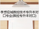 孝感应城数控技术专升本对口专业(数控专升本对口)