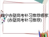 咸宁赤壁高考补习推荐哪家(赤壁高考补习推荐)