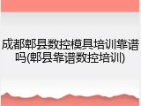 成都郫县数控模具培训靠谱吗(郫县靠谱数控培训)