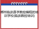郴州临武县学数控编程的培训学校(临武数控培训)