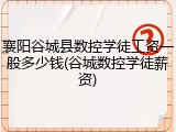襄阳谷城县数控学徒工资一般多少钱(谷城数控学徒薪资)