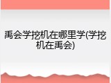 禹会学挖机在哪里学(学挖机在禹会)