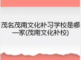 茂名茂南文化补习学校是哪一家(茂南文化补校)