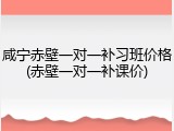 咸宁赤壁一对一补习班价格(赤壁一对一补课价)