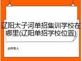 辽阳太子河单招集训学校在哪里(辽阳单招学校位置)