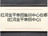 红河金平单招集训中心在哪(红河金平单招中心)