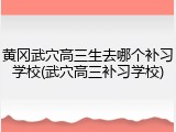 黄冈武穴高三生去哪个补习学校(武穴高三补习学校)