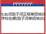 七台河茄子河正规单招培训学校在哪(茄子河单招培训)