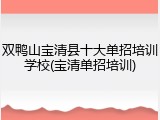 双鸭山宝清县十大单招培训学校(宝清单招培训)