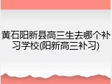 黄石阳新县高三生去哪个补习学校(阳新高三补习)