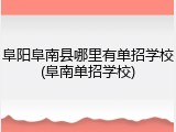 阜阳阜南县哪里有单招学校(阜南单招学校)