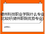 德州科技职业学院什么专业比较好(德州职院优势专业)