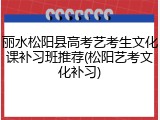 丽水松阳县高考艺考生文化课补习班推荐(松阳艺考文化补习)