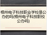 梧州电子科技职业学校是公办的吗(梧州电子科技职校公办吗)