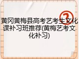 黄冈黄梅县高考艺考生文化课补习班推荐(黄梅艺考文化补习)