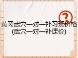 黄冈武穴一对一补习班价格(武穴一对一补课价)