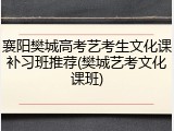 襄阳樊城高考艺考生文化课补习班推荐(樊城艺考文化课班)