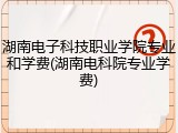 湖南电子科技职业学院专业和学费(湖南电科院专业学费)