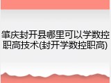 肇庆封开县哪里可以学数控职高技术(封开学数控职高)