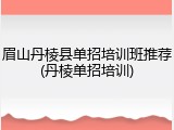 眉山丹棱县单招培训班推荐(丹棱单招培训)